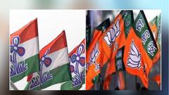 West Bengal Election 2021: এগরায় BJP কর্মীকে পিটিয়ে খুন করার অভিযোগ TMC-র বিরুদ্ধে
