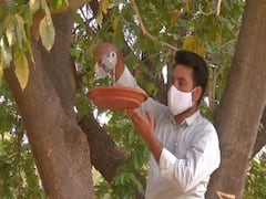 பறவைகளின் தாகத்தை தீர்க்க மரங்களில் `வாட்டர் பாயிண்டுகள்'