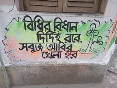 Singur wall graffiti: গোলকিপার মমতা, গোল পেলেন মোদি? ছড়া-ছবিতে সিঙ্গুরে জমজমাট দেওয়াল-যুদ্ধ