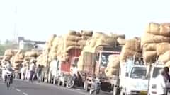 ગોંડલ માર્કેટિંગ યાર્ડમાં માર્ચ એન્ડિગમાં મરચાની થઈ બમ્પર આવક,જુઓ વીડિયો