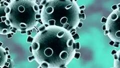 Coronavirus: 22 doctors test positive in Rohtak's PGI