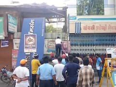 Sangli Leopard Scare: सांगलीत घुसला बिबट्या! पकडण्यासाठी शर्थीचे प्रयत्न, शहरात खळबळ