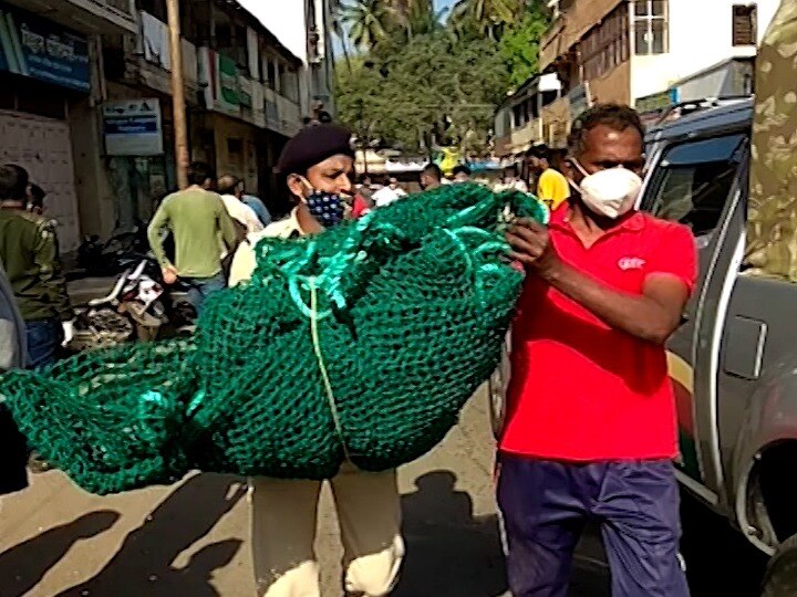 Sangli Leopard Scare: सांगलीत घुसला बिबट्या! पकडण्यासाठी शर्थीचे प्रयत्न, शहरात खळबळ