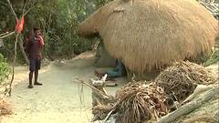 Special Report | बंगालची निवडणूक आणि सुंदरबन...