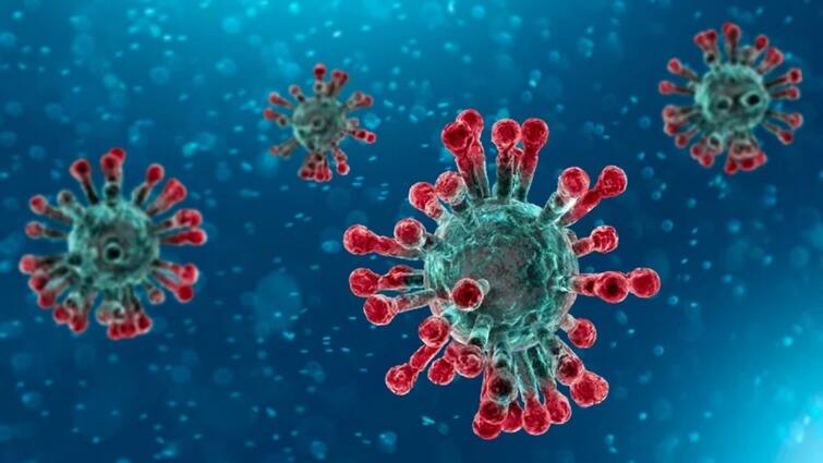 increase immunity power with these measures Make immunity stronger to avoid coronavirus Immunity Booster: કોરોનાથી બચવા રોગ પ્રતિકારક શક્તિ બનાવો મજબૂત, અજમાવો આ  ઉપાય