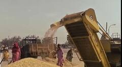 Ration Card Update: FCI से अभी तक नहीं हुई चावल की आपूर्त‍ि, आपको करना होगा राशन का इंतजार 