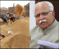 ਹਰਿਆਣਾ 'ਚ ਕੱਲ੍ਹ ਤੋਂ ਕਣਕ ਦੀ ਖਰੀਦ ਸ਼ੁਰੂ, ਖੱਟਰ ਸਰਕਾਰ ਨੇ ਕਿਸਾਨਾਂ ਤੇ ਆੜ੍ਹਤੀਆਂ ਲਈ ਚੁੱਕੇ ਵੱਡੇ ਕਦਮ 