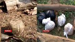 West Bengal Election 2021: ভোটের আগে দুই মেদিনীপুরে উদ্ধার তাজা বোমা