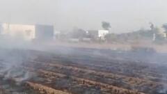 અરવલ્લીમાં ઘઉંના ખેતરમાં લાગી આગ, ખેતરમાં કાપીને મુકેલો પાક આગમાં બળીને ખાખ