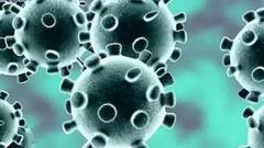 Now Coronavirus' second wave affects businesses | Ground Report