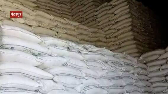 Sugar | महाराष्ट्रात रेकॉर्डब्रेक साखरेचं उत्पादन, साखर कारखान्यांची गोदामं हाऊसफुल्ल