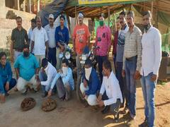 खवले मांजराची तस्करी करणाऱ्या सहा जणांना अटक, चिपळूणमध्ये वनविभागाची कारवाई