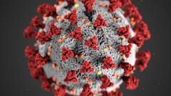 Coronavirus in Bengal: ২৪ ঘণ্টায় সংক্রমিত ১২৭৪, রাজ্যে ক্রমশ ঊর্ধ্বমুখী করোনা