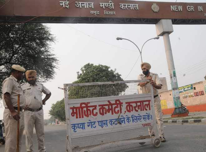 Wheat procurement has started in Haryana, farmers in Karnal did not bring their produce to the mandis ਸੂਬੇ 'ਚ ਕਣਕਾਂ ਦੀ ਖਰੀਦ ਸੁਰੂ, ਪਰ ਕਰਨਾਲ ਦੀ ਅਨਾਜ ਮੰਡੀ ਪਈ ਹੈ ਸੁਨਸਾਨ