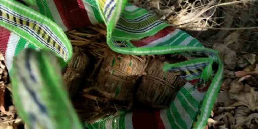 WB Election 2021: political clash and bomb blasting in Birbhum during the election today WB Election 2021: বিজেপি নেতার বাড়িতে বোমাবাজির অভিযোগ, কাঠগড়ায় তৃণমূল