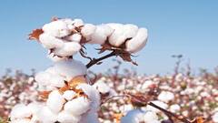 TOP 25 | महत्त्वाच्या 25 बातम्यांचा वेगवान आढावा | 1 एप्रिल 2021 | ABP Majha