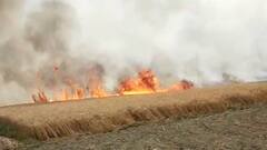 UP: આગના કારણે હજારો એકર ઘઉંનો પાક બળીને ખાખ, ફોન કરવા છતાં મોડા આવતા પોલીસ પર ગામજનોનો હુમલો