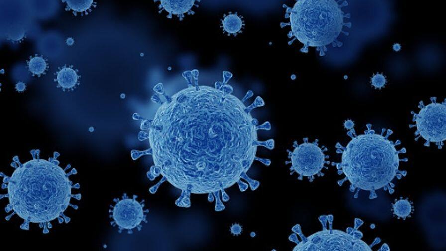 CSIR-CCMB alert to Punjab for corona Virus ਅਗਲੇ ਦਿਨਾਂ 'ਚ ਪੰਜਾਬ ਲਈ ਵੱਡਾ ਖ਼ਤਰਾ!, ਸੀਐਸਆਈਆਰ-ਸੀਸੀਐਮਬੀ ਦੀ ਚੇਤਾਵਨੀ