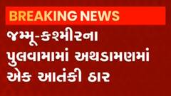 J&K અથડામણઃ શ્રીનગર હુમલામાં સામેલ એક આતંકી ઠાર મરાયો,જુઓ વીડિયો