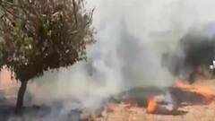 કચ્છના ભચાઉના આ ગામમાં સૂકા ચારામાં આગ લાગતા એક ભેંસનું થયું મોત,જુઓ વીડિયો