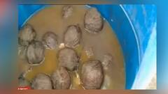 West Bengal Election 2021: একসঙ্গে ৪১টা বোমা উদ্ধার ঘিরে চাঞ্চল্য ভাঙড়ে