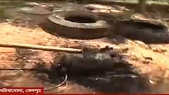 West Bengal Election 2021: ভোট মিটলেও মেটেনি অশান্তি -- কেশপুরে এবার বিজেপির এজেন্টের বাড়িতে 'হামলা'