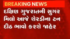 દક્ષિણ ગુજરાતની સુગર મિલો આજે ભાવ કરશે જાહેર, જુઓ કેવી છે સંભાવના