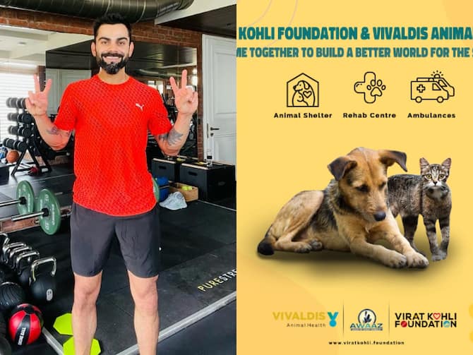 Anushka Sharma Virat Kohli Foundation Opens Two Animal Shelters In Mumbai
