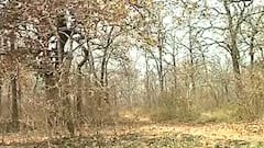 Chhattisgarh: Ground report from the place of Maoist attack in Bijapur