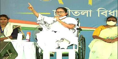 West Bengal Assembly Elections 2021 Mamata Banerjee Attacks ISF Abbas Siddiqui comparing him with cobra snake WB Election 2021: এরা কালকেউটের থেকেও ভয়ঙ্কর, কাদের উদ্দেশে বললেন মমতা?