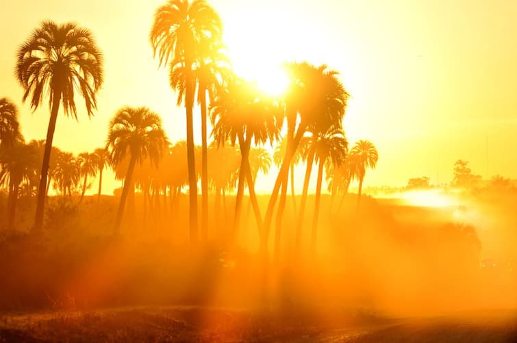 Chennai Meteorological Department has warned of hot winds in four districts of Tamil Nadu 4 மாவட்டங்களில் அனல்காற்று வீசும் என வானிலை மையம் எச்சரிக்கை