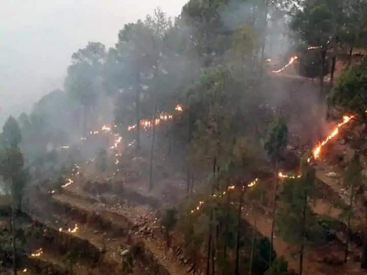 Uttarakhand: Youth Dies While Dousing Forest Fire In Pithoragarh, Total Death Toll Reaches 7