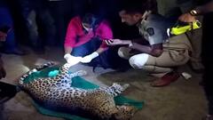 Rural News | माझं गाव माझा जिल्हा | राज्याच्या कानाकोपऱ्यातील बातम्यांचा आढावा | 05 एप्रिल 2021