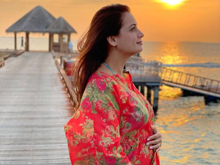 Dia Mirza Announces First Pregnancy With Vaibhav Rekhi Wild Dog Actress Replies Troll Who Questioned Her Pregnancy Timing Dia Mirza Reveals She Got To Know About Her Pregnancy During Wedding Preps With Vaibhav Rekhi