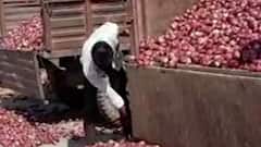 TOP 50 | महत्त्वाच्या 50 बातम्यांचा वेगवान आढावा | काय आहेत दिवसभरातील टॉप 50 बातम्या? 6 एप्रिल 2021