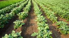 Rural News | गावागावातील बातम्यांचा वेगवान आढावा, तुमच्या गावात आज काय घडलं? माझं गाव माझा जिल्हा