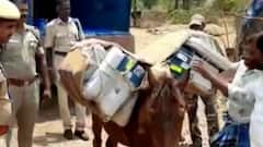 Tamil Nadu Polls: Mules carry EVM machines to polling center in Dindigul