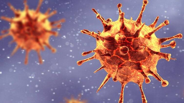 Coronavirus Why There Is A Massive Surge In COVID-19 Cases Centre Lists Out Reasons Coronavirus In India | भारतात कोरोनाचा उद्रेक का होतोय?  केंद्र सरकारचे काही अनुमान