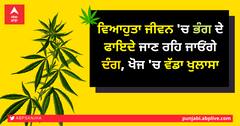 ਵਿਆਹੁਤਾ ਜੀਵਨ 'ਚ ਭੰਗ ਦੇ ਫਾਇਦੇ ਜਾਣ ਰਹਿ ਜਾਓਂਗੇ ਦੰਗ, ਖੋਜ 'ਚ ਵੱਡਾ ਖੁਲਾਸਾ