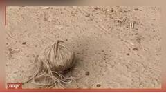 West Bengal Election 2021: নানুরে বোমাবাজি, উদ্ধার তাজা বোমা, ছড়াল আতঙ্ক