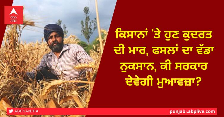 Natural calamity on farmers now, huge loss of crops, will the government compensate ਕਿਸਾਨਾਂ 'ਤੇ ਹੁਣ ਕੁਦਰਤ ਦੀ ਮਾਰ, ਫਸਲਾਂ ਦਾ ਵੱਡਾ ਨੁਕਸਾਨ, ਕੀ ਸਰਕਾਰ ਦੇਵੇਗੀ ਮੁਆਵਜ਼ਾ?