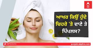 Beauty Tips: ਆਖਰ ਕਿਉਂ ਹੁੰਦੇ ਚਿਹਰੇ 'ਤੇ ਦਾਣੇ ਤੇ ਪਿੰਪਲਸ? ਕਿਤੇ ਤੁਸੀਂ ਇਹ ਚੀਜ਼ਾਂ ਤਾਂ ਨਹੀਂ ਖਾ ਰਹੇ