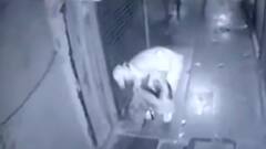 Ahmedabad: ક્રાઈમ બ્રાન્ચે નવા ટેરર પ્લાનનો કર્યો પર્દાફાશ, જુઓ વીડિયો