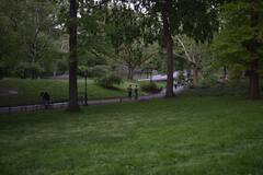 Kejriwal Government Plans New York's Central Park Like Project For Delhi In A Bid To Clean The Toxic Air