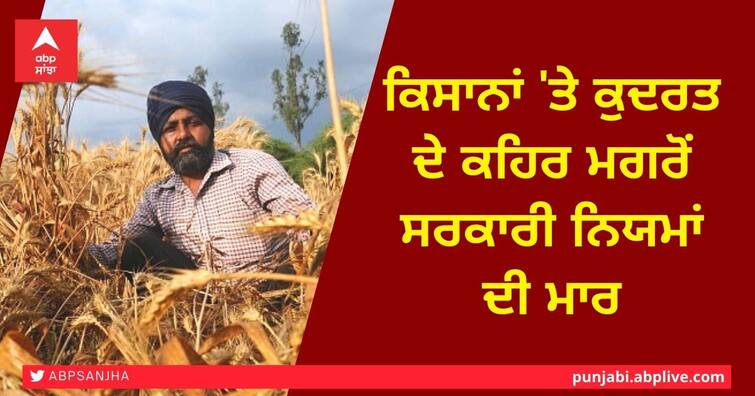 no provision for compensation of less than 25 per cent crop loss said Director Agriculture Punjab Mr. Sukhdev Singh Sidhu Crop Compensation to Farmers: ਕਿਸਾਨਾਂ ਨੂੰ ਨਹੀਂ ਮਿਲੇਗਾ ਫਸਲਾਂ ਦੇ ਖਰਾਬੇ ਦਾ ਮੁਆਵਜ਼ਾ, ਕੁਦਰਤ ਦੇ ਕਹਿਰ ਮਗਰੋਂ ਸਰਕਾਰੀ ਨਿਯਮਾਂ ਦੀ ਮਾਰ