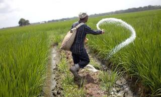 ਆਖਰ ਦੇਸ਼ 'ਚ ਯੂਰੀਆ ਤੇ ਡੀਏਪੀ ਖਾਦ ਦਾ ਸੰਕਟ ਕਿਉਂ? ਖਾਦ ਮੰਤਰੀ ਨੇ ਜਵਾਬ ਦਿੱਤਾ