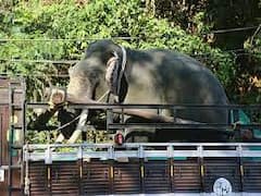 யானைகள் இறப்பு: சந்தேகத்துக்குரிய 3 வழக்குகளை விசாரணைக்கு எடுத்தது சிபிஐ..