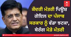ਕੇਂਦਰੀ ਮੰਤਰੀ ਪਿਊਸ਼ ਗੋਇਲ ਦਾ ਪੰਜਾਬ ਸਰਕਾਰ ਨੂੰ ਵੱਡਾ ਝਟਕਾ, ਬੇਰੰਗ ਮੋੜੇ ਮੰਤਰੀ