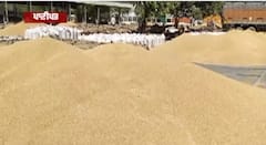 ਹਰਿਆਣਾ ਸਰਕਾਰ ਨੇ ਡਿਪੂ ਹੋਲਡਰਾਂ ਨੂੰ ਜਾਰੀ ਕੀਤਾ ਅਸਥਾਈ ਲਾਈਸੈਂਸ