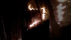 Gondia Fire : गोंदियातील थाटेझरी गावात भीषण आग, तीन मजुरांचा होरपळून मृत्यू, दोन मजूर गंभीर जखमी